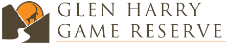 glen harry logo